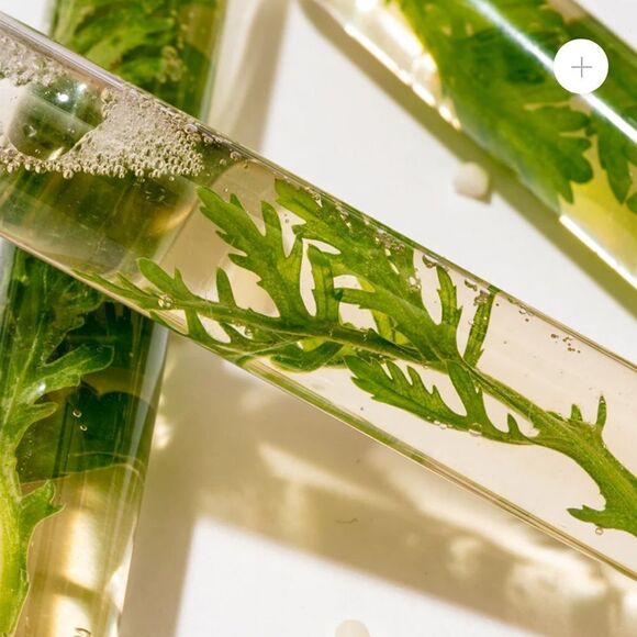 Aprilskin Artemisia Rice Essence Toner calms, hydrates, firms & brightens new - Picture 3 of 5